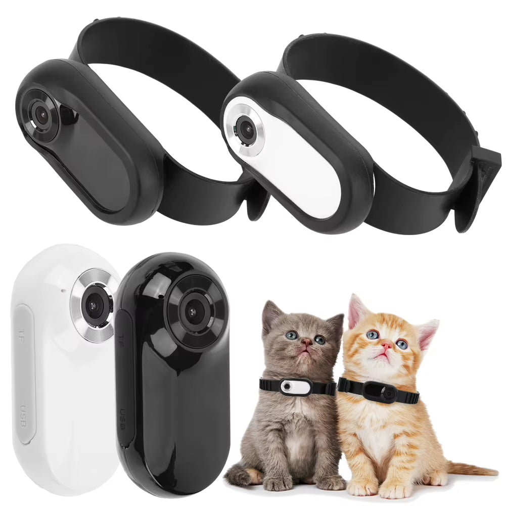HD 1080P Dog Collar Camera – Lightweight Pet Tracker with 32GB Card, No WiFi Needed